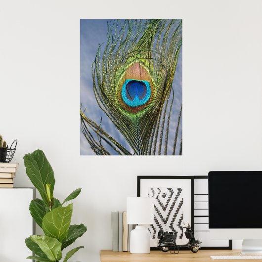 Sunny Peacock Feather Poster (Thuiskantoor)