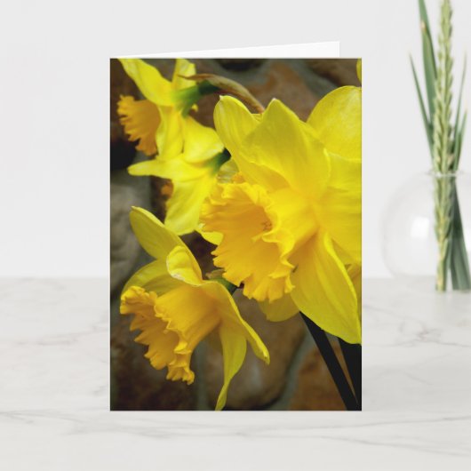 Sunny Petals Kaart (Voorkant)