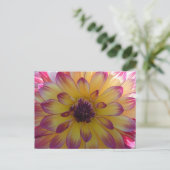 Sunny Pink Yellow Dahlia Close Up DIY Briefkaart (Staand voorkant)