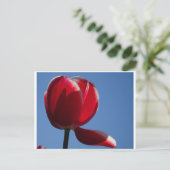 Sunny Red Tulip sluit het Briefkaart af (Staand voorkant)