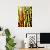 Sunny Redwood Trees Poster (Glossy) (Thuiskantoor)