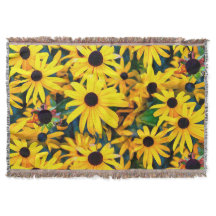 Sunny Rudbeckia Black-Eyed Susan