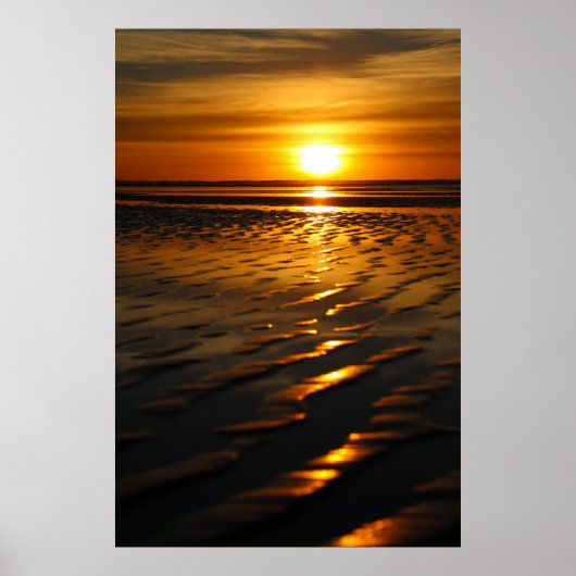 Sunny San Diego Poster (Voorkant)