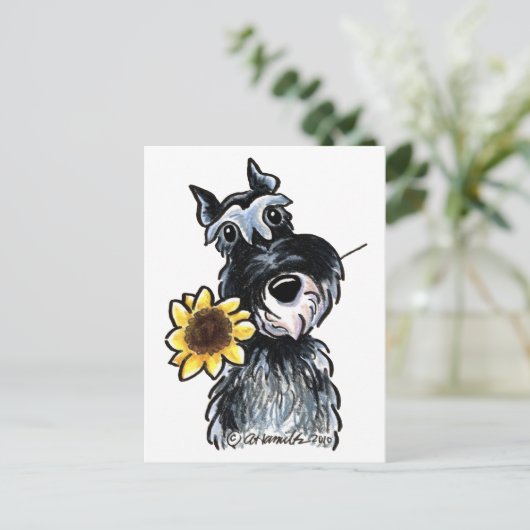 Sunny Schnauzer Classic Briefkaart (Staand voorkant)