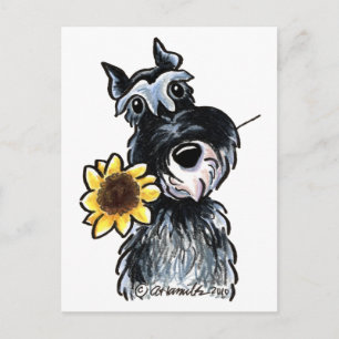 Sunny Schnauzer Classic Briefkaart