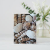 Sunny Seashells Collectie Natuur Briefkaart (Staand voorkant)