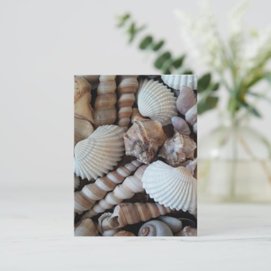 Sunny Seashells Collectie Natuur Briefkaart (Staand voorkant)