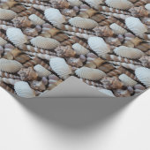 Sunny Seashells Collectie Natuur Cadeaupapier (Hoek)