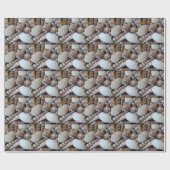 Sunny Seashells Collectie Natuur Cadeaupapier (Vlak)