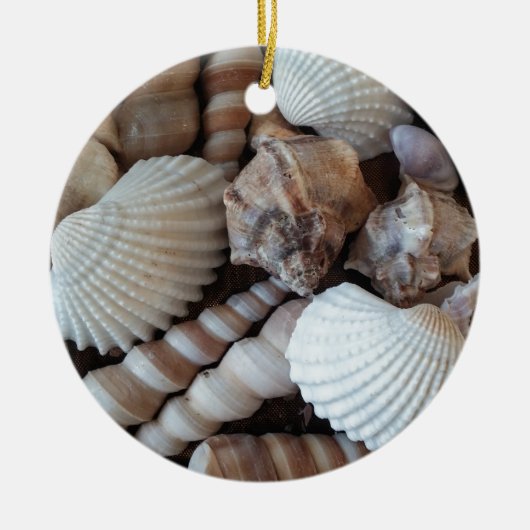 Sunny Seashells Collectie Natuur Keramisch Ornament (Voorkant)