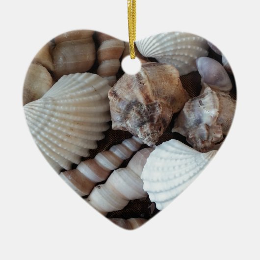 Sunny Seashells Collectie Natuur Keramisch Ornament (Voorkant)
