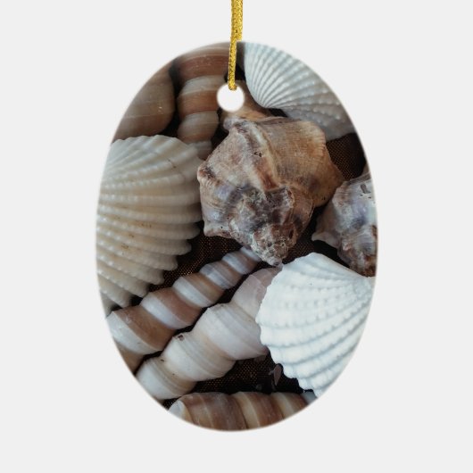 Sunny Seashells Collectie Natuur Keramisch Ornament (Voorkant)