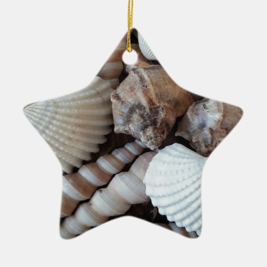 Sunny Seashells Collectie Natuur Keramisch Ornament (Voorkant)