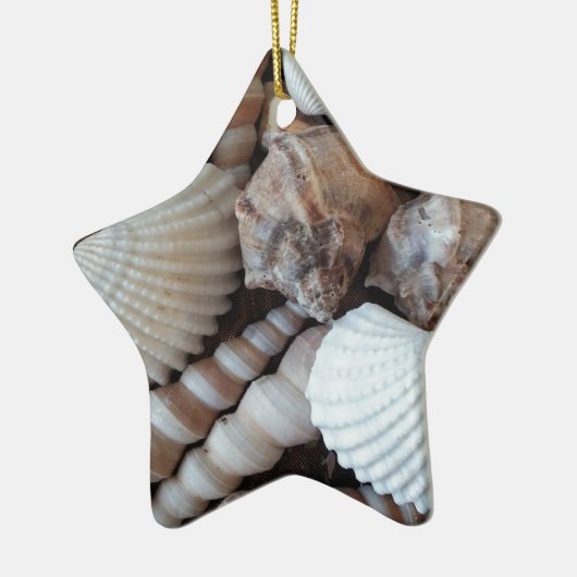Sunny Seashells Collectie Natuur Keramisch Ornament (Links)