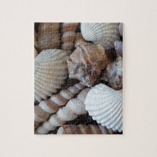 Sunny Seashells Collectie Natuur Legpuzzel