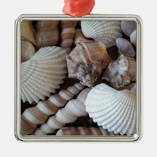 Sunny Seashells Collectie Natuur Metalen Ornament (Voorkant)