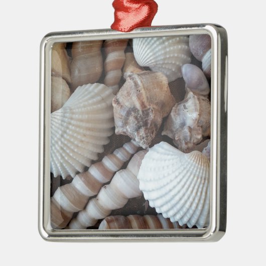 Sunny Seashells Collectie Natuur Metalen Ornament (Links)
