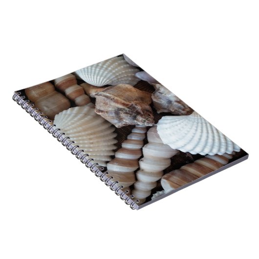 Sunny Seashells Collectie Natuur Notitieboek (Rechterzijde)