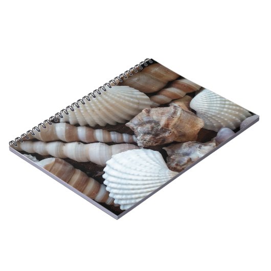 Sunny Seashells Collectie Natuur Notitieboek (Linkerzijde)