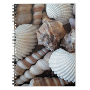Sunny Seashells Collectie Natuur Notitieboek