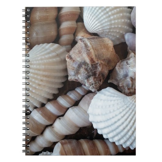 Sunny Seashells Collectie Natuur Notitieboek (Voorkant)