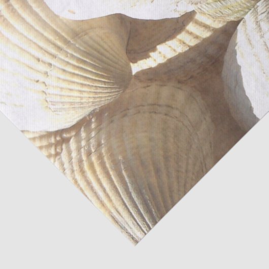 Sunny Seashells Collectie, Summer Beach, Tissue Tissuepapier (Detail)
