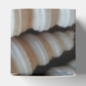 Sunny Seashells Favor Box, Summer Beach Wedding Bedankdoosjes (Bovenkant)