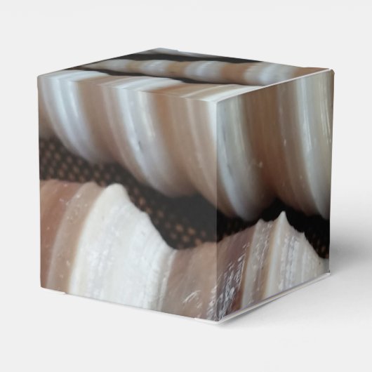 Sunny Seashells Favor Box, Summer Beach Wedding Bedankdoosjes (Achterkant)