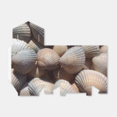 Sunny Seashells Favor Box, Summer Beach Wedding Bedankdoosjes (Uitgevouwen)