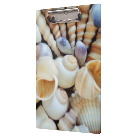 Sunny Seashells, Klembord, Summer Beach, Natuur Klembord (Links)