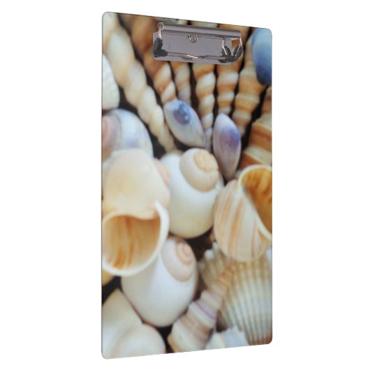 Sunny Seashells, Klembord, Summer Beach, Natuur Klembord (Rechts)