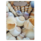 Sunny Seashells, Klembord, Summer Beach, Natuur Klembord (Voorkant)