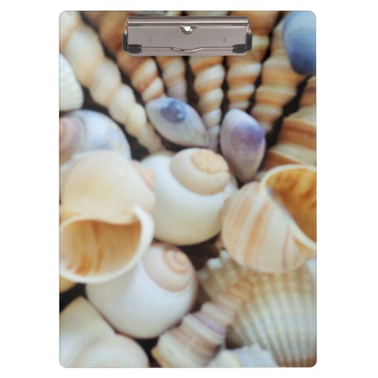Sunny Seashells, Klembord, Summer Beach, Natuur Klembord (Voorkant)