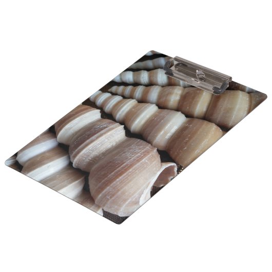 Sunny Seashells, Klembord, Summer Beach, Natuur Klembord (Gekanteld)