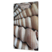 Sunny Seashells, Klembord, Summer Beach, Natuur Klembord (Links)