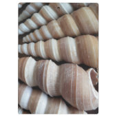 Sunny Seashells, Klembord, Summer Beach, Natuur Klembord (Achterkant)