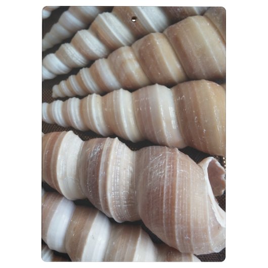 Sunny Seashells, Klembord, Summer Beach, Natuur Klembord (Achterkant)