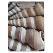 Sunny Seashells, Klembord, Summer Beach, Natuur Klembord (Voorkant)