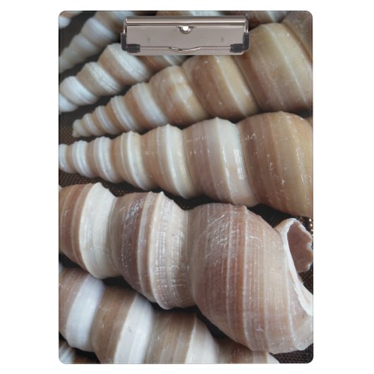 Sunny Seashells, Klembord, Summer Beach, Natuur Klembord (Voorkant)