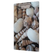 Sunny Seashells, Klembord, Summer Beach, Natuur Klembord (Links)