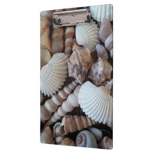 Sunny Seashells, Klembord, Summer Beach, Natuur Klembord (Links)