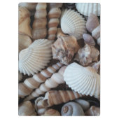Sunny Seashells, Klembord, Summer Beach, Natuur Klembord (Achterkant)