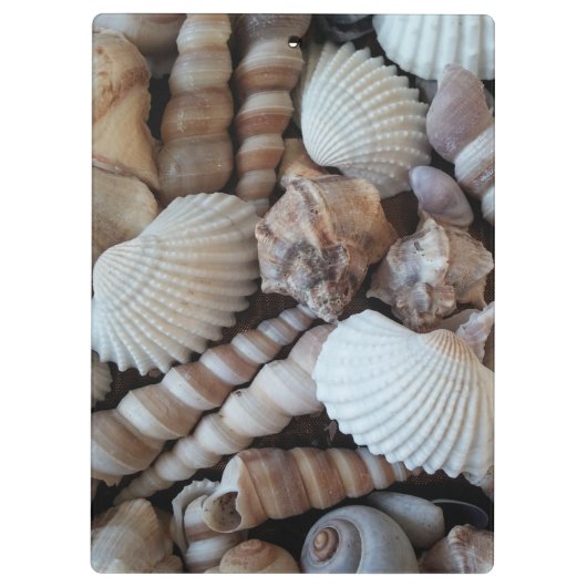 Sunny Seashells, Klembord, Summer Beach, Natuur Klembord (Achterkant)