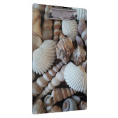 Sunny Seashells, Klembord, Summer Beach, Natuur Klembord (Rechts)