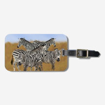 Sunny Serengeti Zebra | Safari Wildlife Adventure