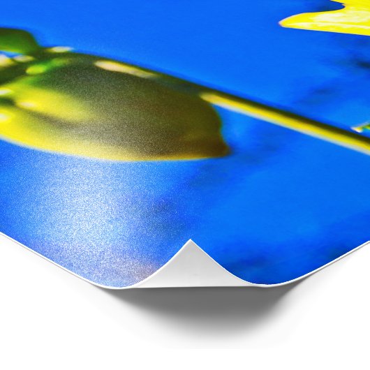 Sunny Side Up Foto Afdruk (Hoek)