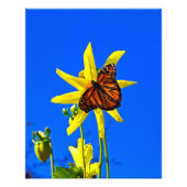 Sunny Side Up Foto Afdruk (Voorkant)