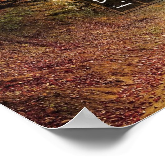 Sunny Smile Poster (Hoek)