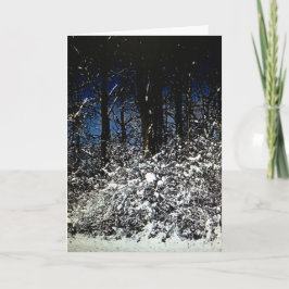 Sunny Snowy Christmas Frameable Kaart 5x7