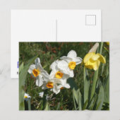 Sunny Spring Flowers DIY Briefkaart (Voorkant / Achterkant)